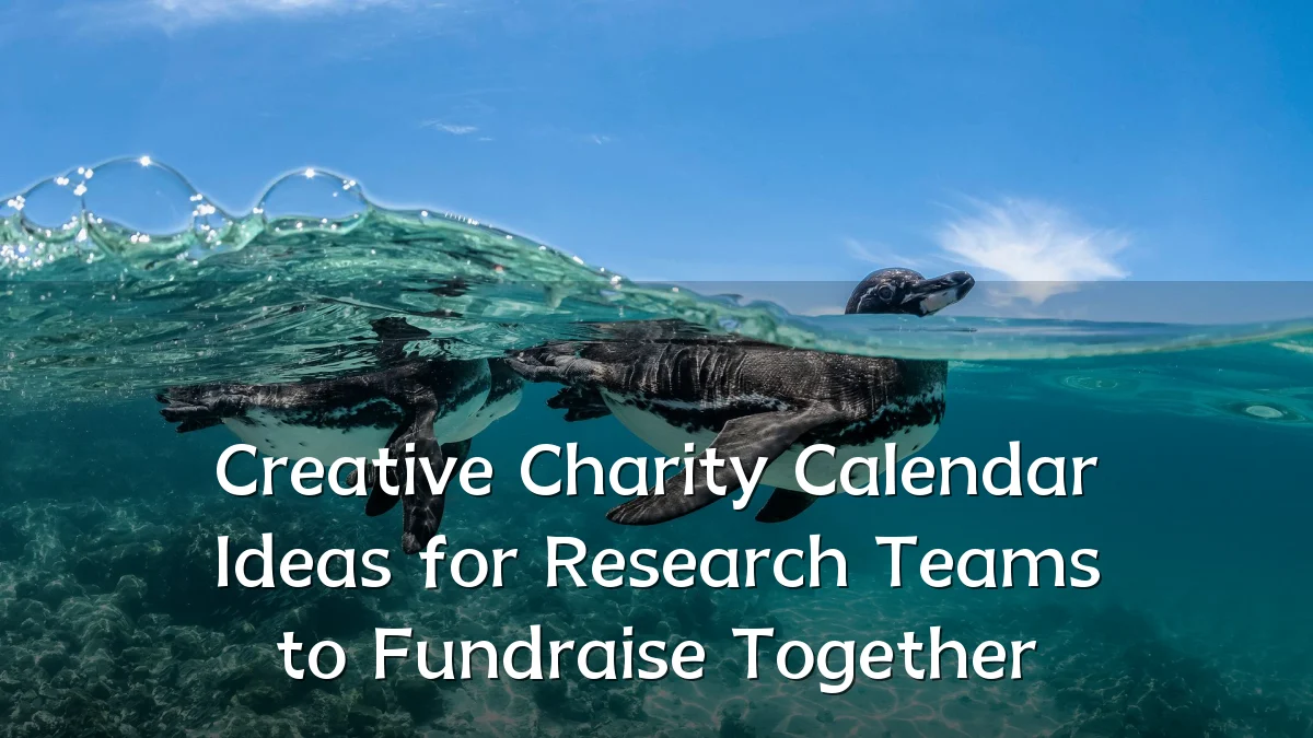 Creative Charity Calendar Ideas for Research Teams to Fundraise Together