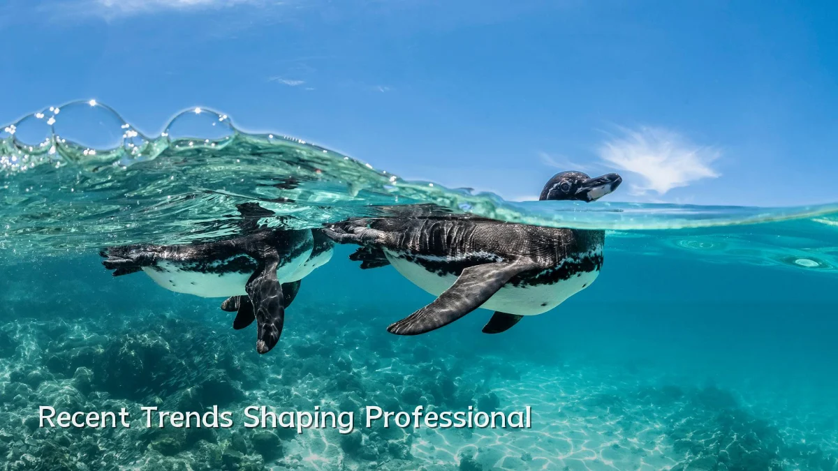 Recent Trends Shaping Professional