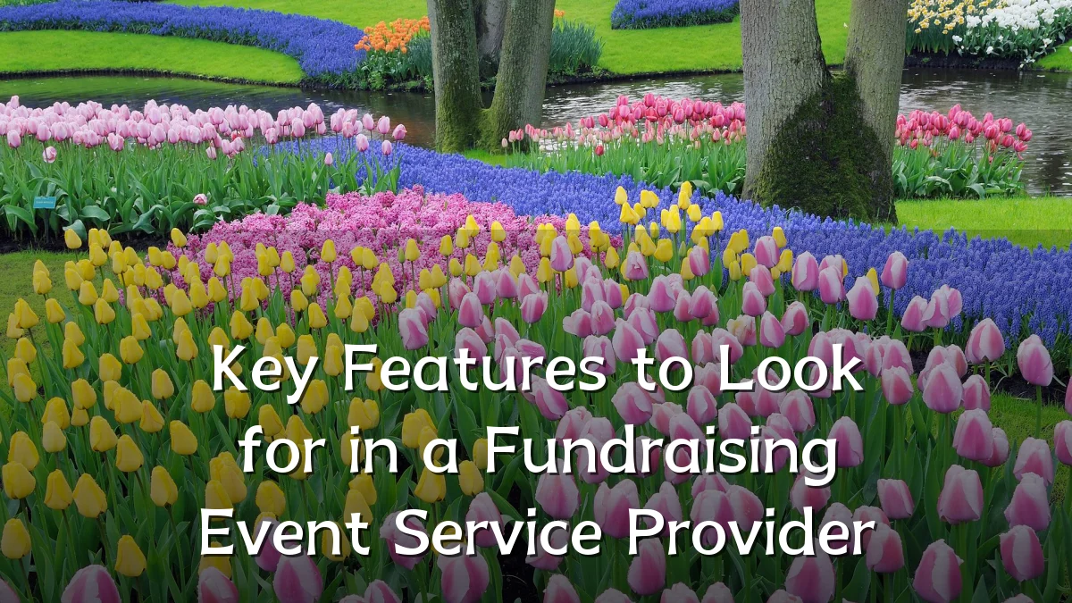 Key Features to Look for in a Fundraising Event Service Provider
