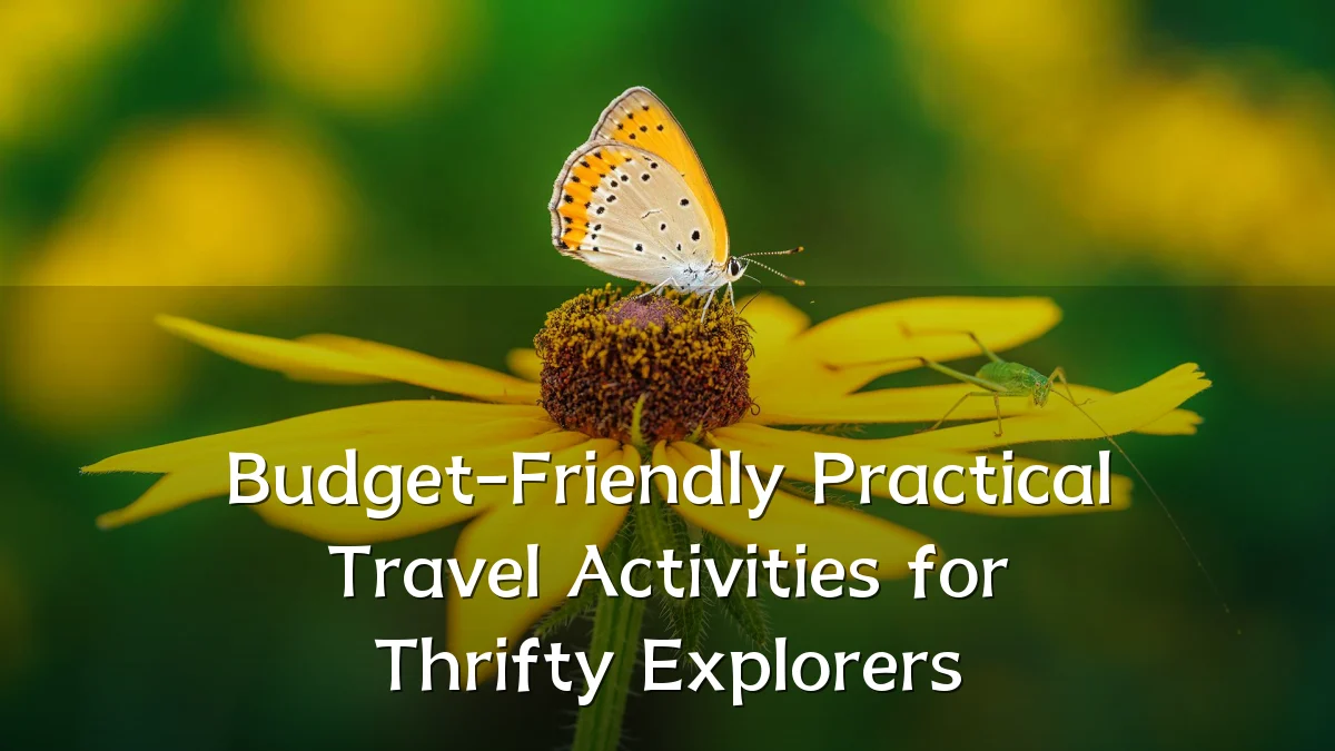 Budget-Friendly Practical Travel Activities for Thrifty Explorers