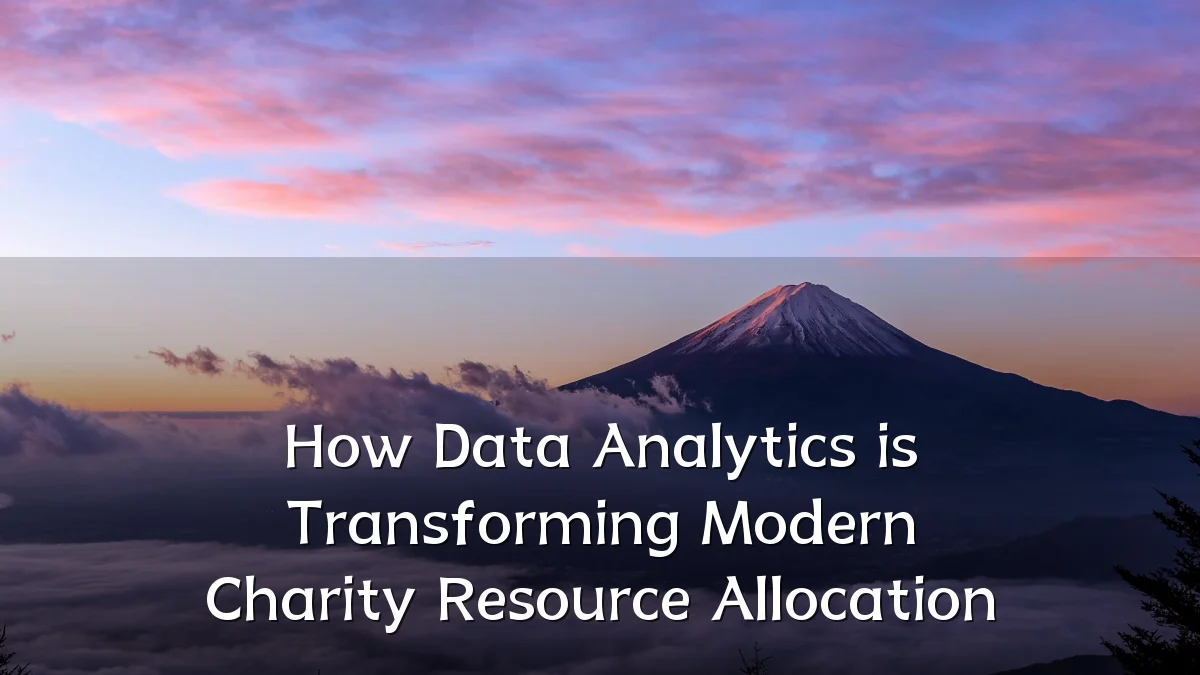 How Data Analytics is Transforming Modern Charity Resource Allocation