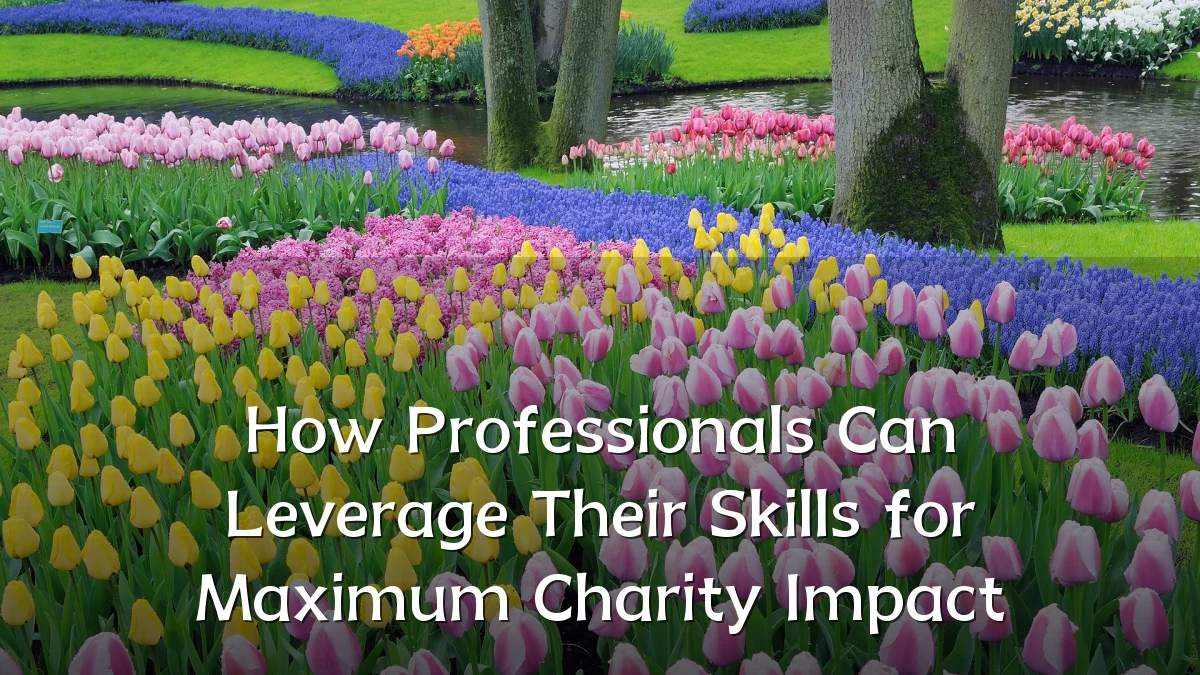 How Professionals Can Leverage Their Skills for Maximum Charity Impact