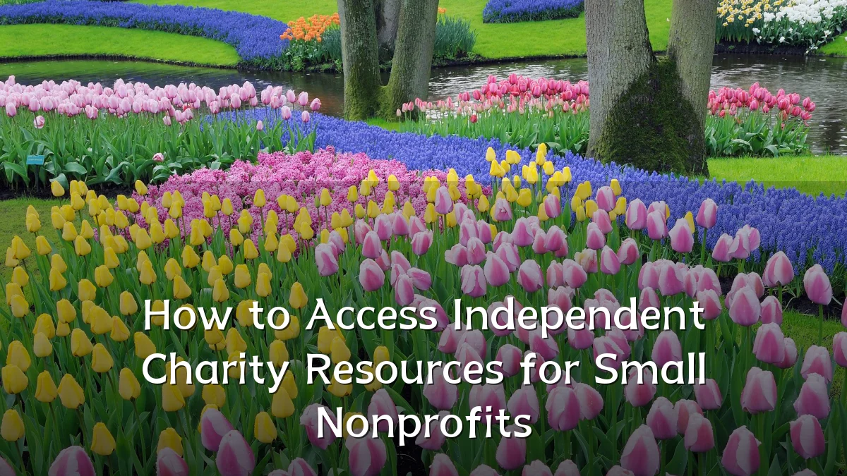 How to Access Independent Charity Resources for Small Nonprofits