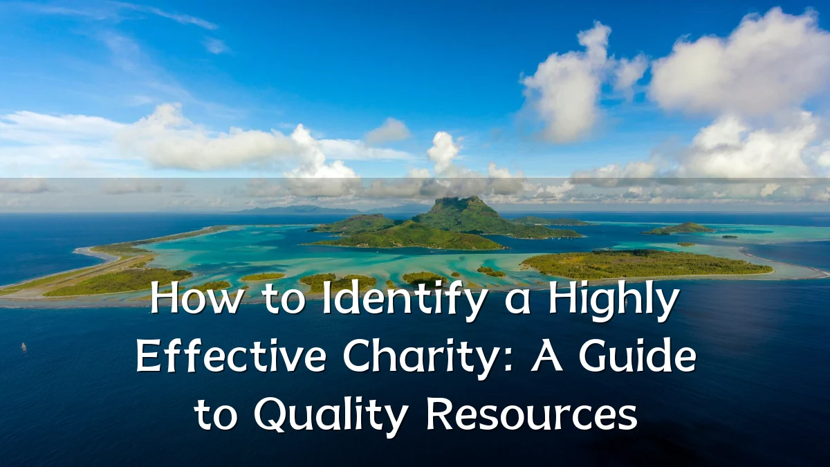 How to Identify a Highly Effective Charity: A Guide to Quality Resources