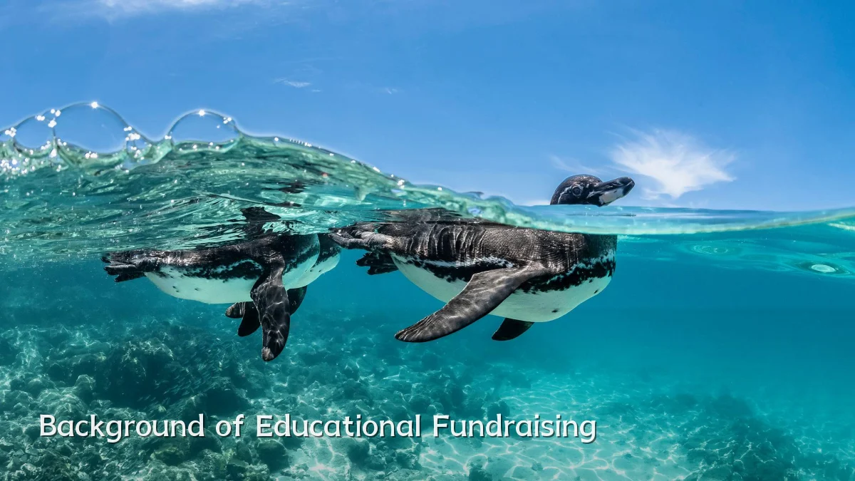 Background of Educational Fundraising