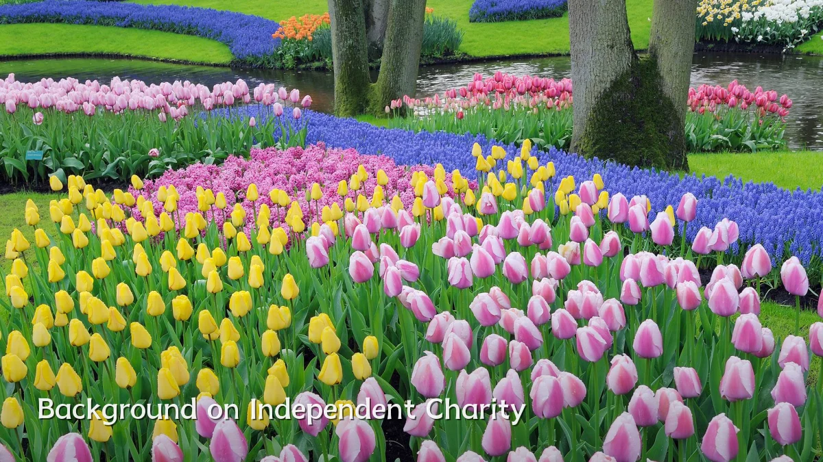 Background on Independent Charity