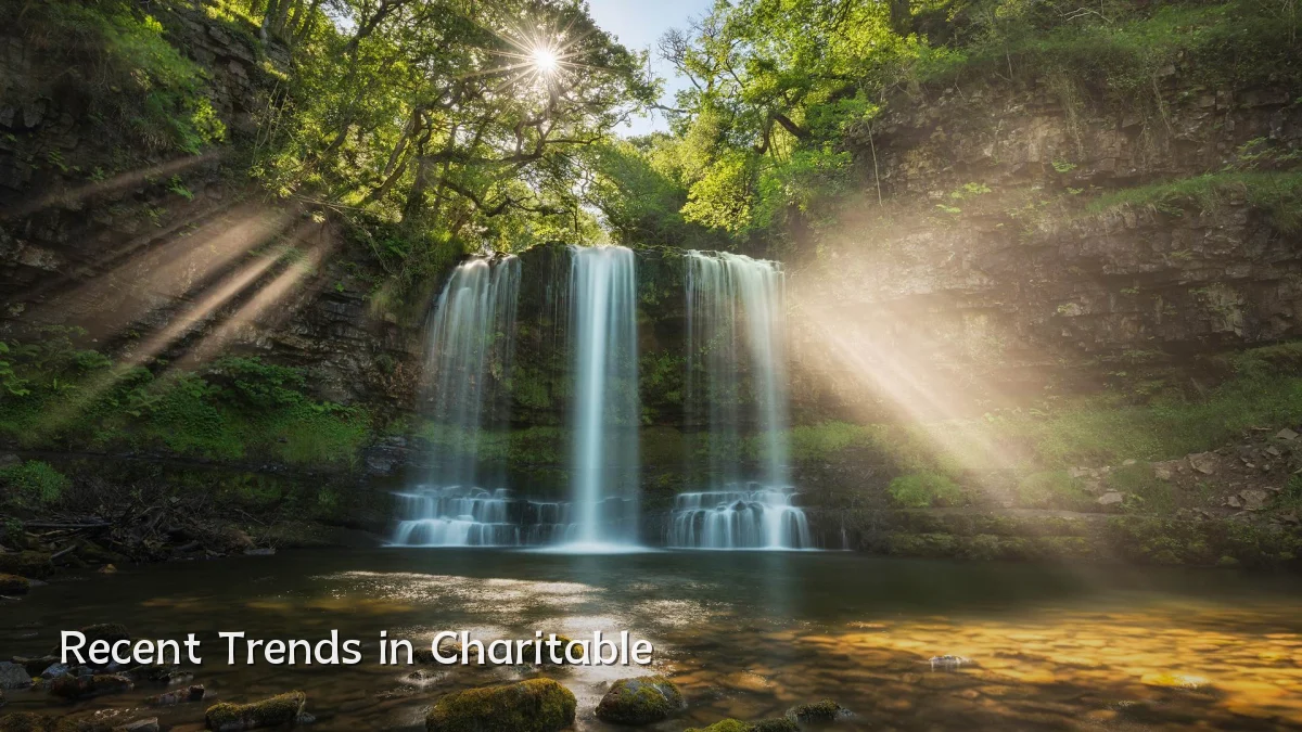 Recent Trends in Charitable