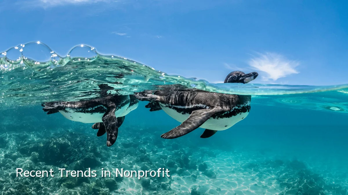 Recent Trends in Nonprofit