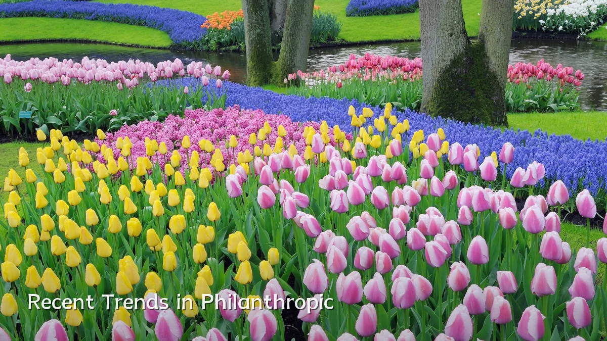 Recent Trends in Philanthropic