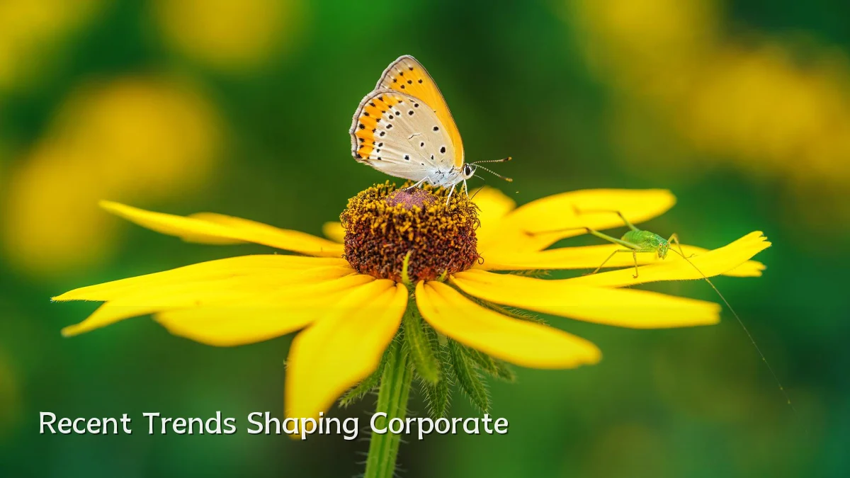 Recent Trends Shaping Corporate