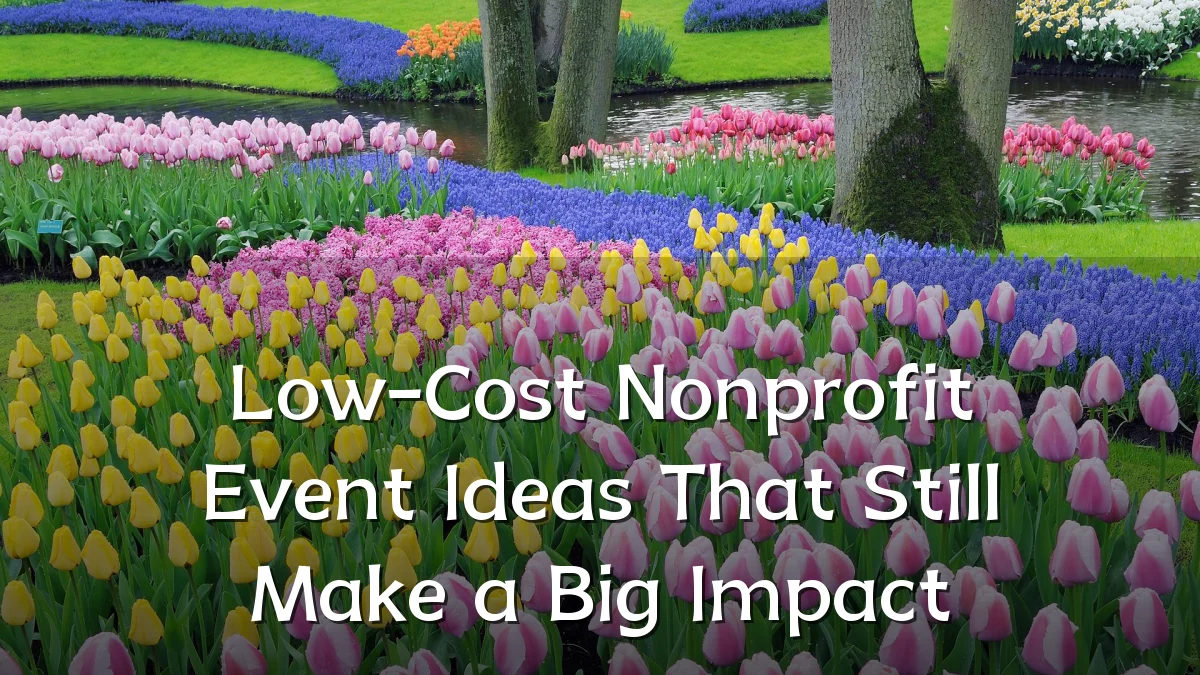 Low-Cost Nonprofit Event Ideas That Still Make a Big Impact