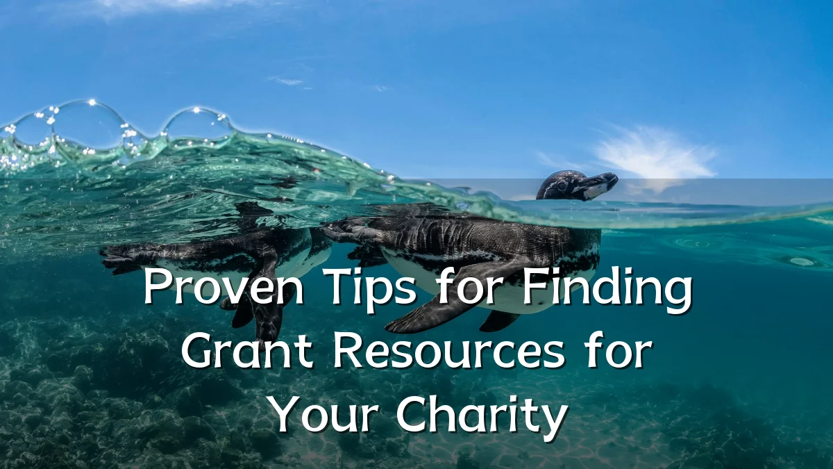 Proven Tips for Finding Grant Resources for Your Charity