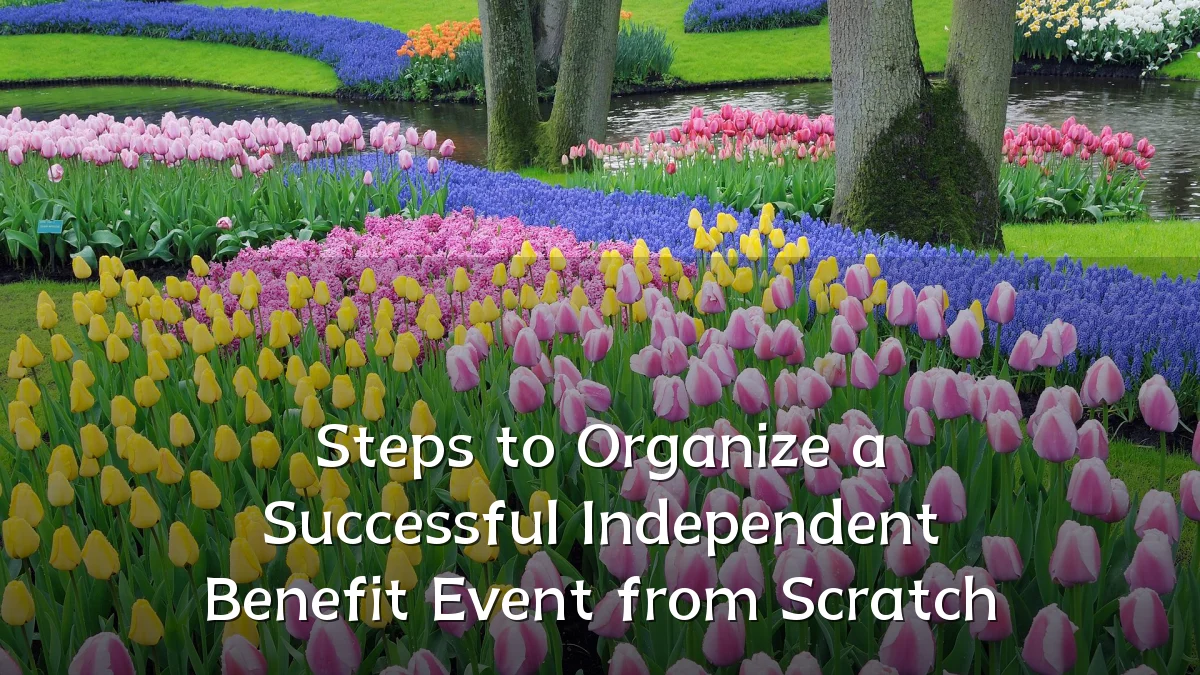 Steps to Organize a Successful Independent Benefit Event from Scratch