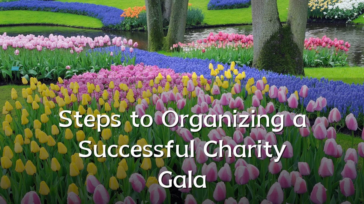 Steps to Organizing a Successful Charity Gala