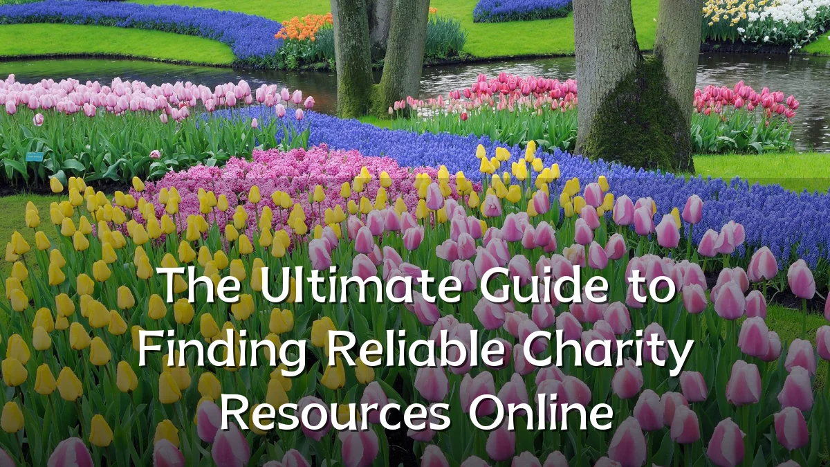 The Ultimate Guide to Finding Reliable Charity Resources Online