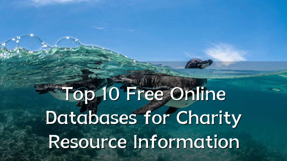 Top 10 Free Online Databases for Charity Resource Information