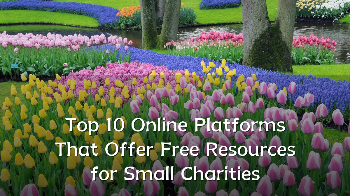Top 10 Online Platforms That Offer Free Resources for Small Charities