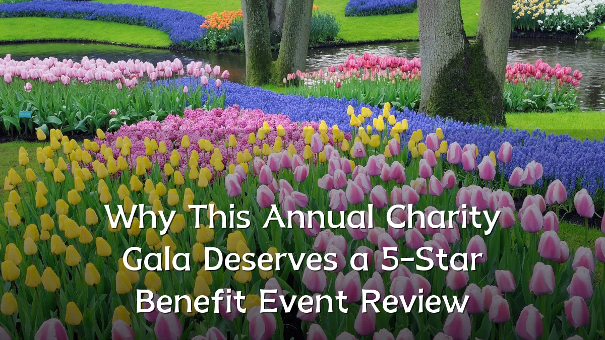 Why This Annual Charity Gala Deserves a 5-Star Benefit Event Review