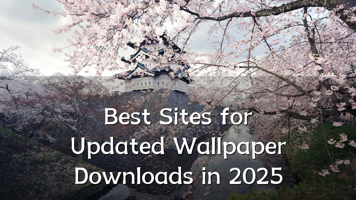 Best Sites for Updated Wallpaper Downloads in 2025