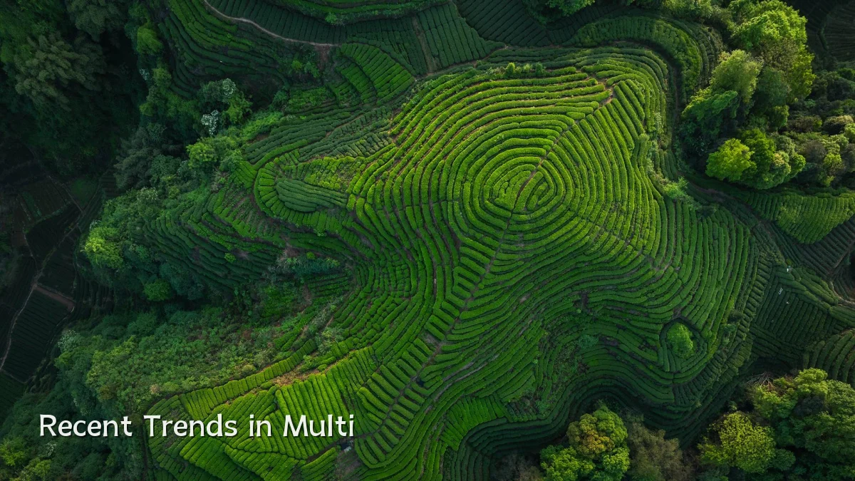Recent Trends in Multi