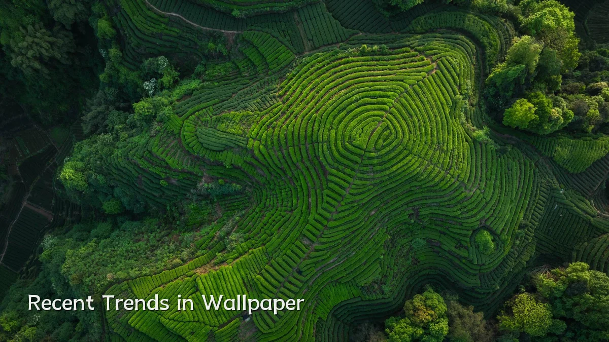 Recent Trends in Wallpaper
