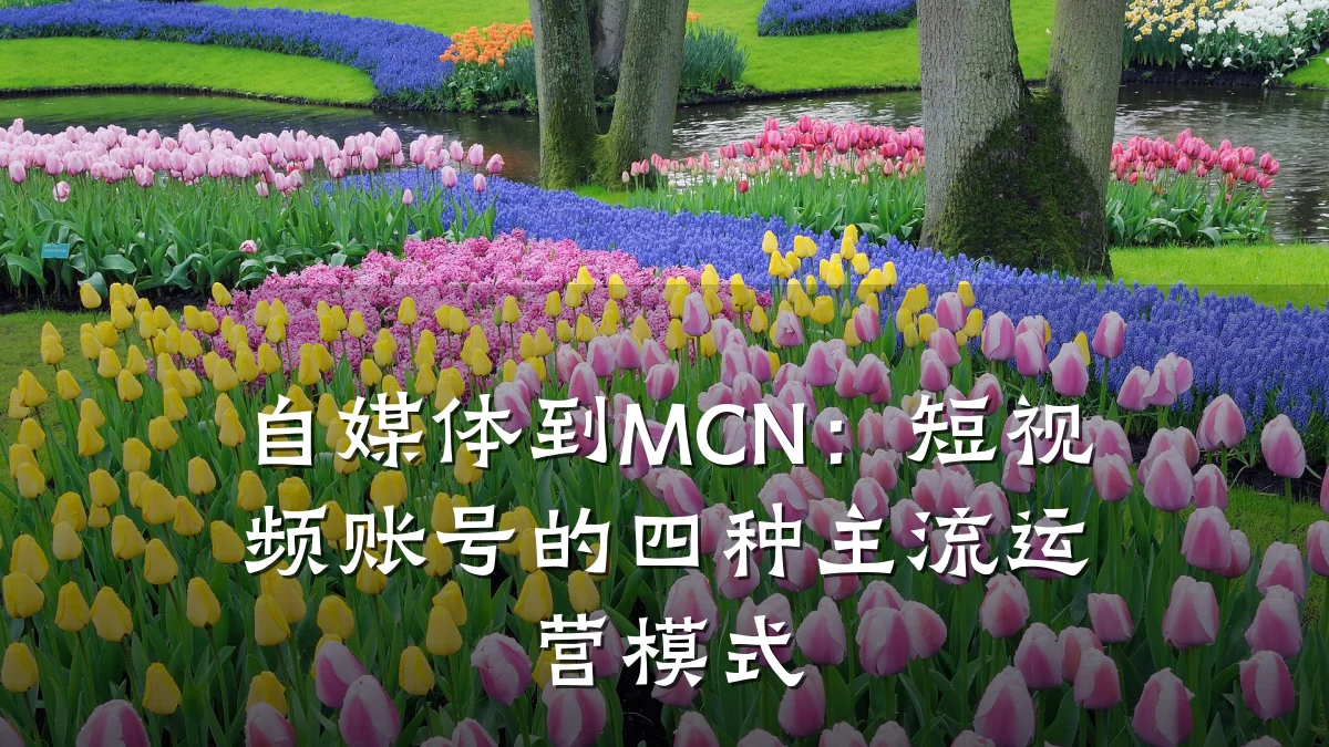 自媒体到MCN：短视频账号的四种主流运营模式